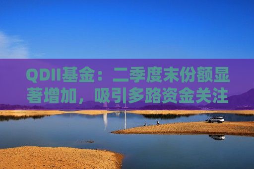 QDII基金：二季度末份额显著增加，吸引多路资金关注