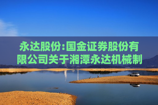 永达股份:国金证券股份有限公司关于湘潭永达机械制造股份有限公司本次交易产业政策和交易类型之独立财务顾问核查意见  第1张