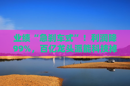 业绩“急刹车式”！利润降99%，百亿龙头派能科技掉队了  第1张
