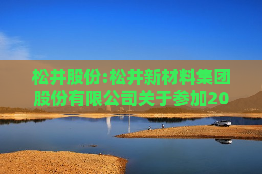 松井股份:松井新材料集团股份有限公司关于参加2024年半年度新材料专场集体业绩说明会的公告