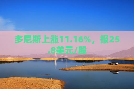 多尼斯上涨11.16%，报25.8美元/股  第1张