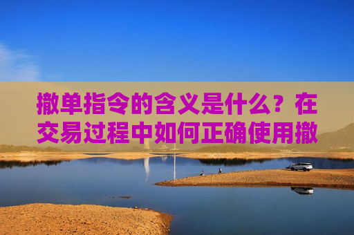 撤单指令的含义是什么？在交易过程中如何正确使用撤单指令？