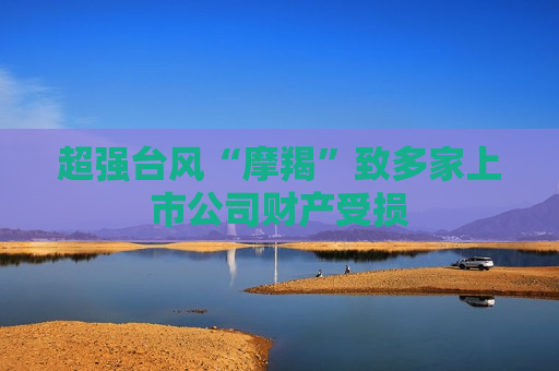 超强台风“摩羯”致多家上市公司财产受损