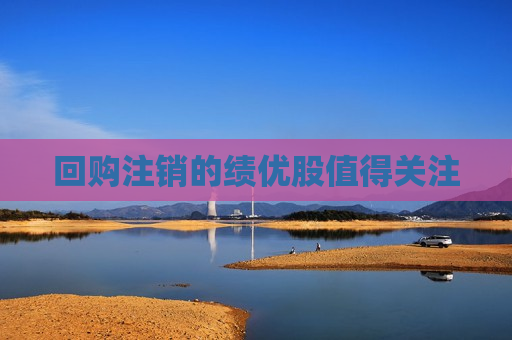 回购注销的绩优股值得关注  第1张
