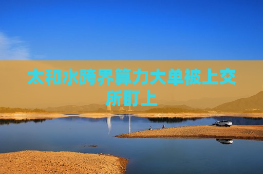 太和水跨界算力大单被上交所盯上