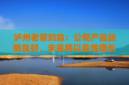泸州老窖刘淼：公司产品动销良好，未来将以良性增长为基础目标制定发展规划