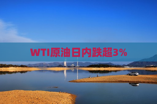 WTI原油日内跌超3%  第1张