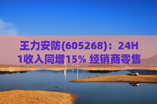 王力安防(605268)：24H1收入同增15% 经销商零售渠道表现亮眼