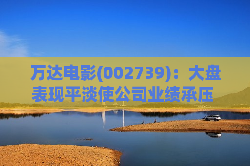 万达电影(002739)：大盘表现平淡使公司业绩承压 公司制片能力不断提升