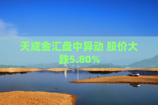 天成金汇盘中异动 股价大跌5.80%