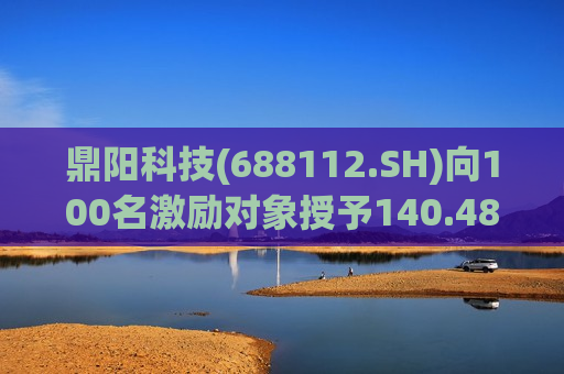 鼎阳科技(688112.SH)向100名激励对象授予140.4881万股限制性股票  第1张
