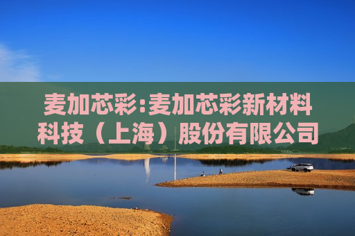 麦加芯彩:麦加芯彩新材料科技（上海）股份有限公司对外担保管理制度  第1张