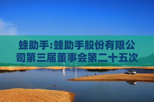 蜂助手:蜂助手股份有限公司第三届董事会第二十五次会议决议公告  第1张