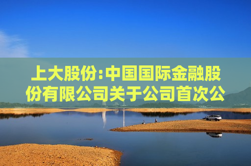 上大股份:中国国际金融股份有限公司关于公司首次公开发行股票并在创业板上市的上市保荐书