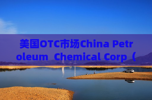美国OTC市场China Petroleum  Chemical Corp（SNPMF.us）盘中异动 下午盘股价大跌5.39%报0.544美元