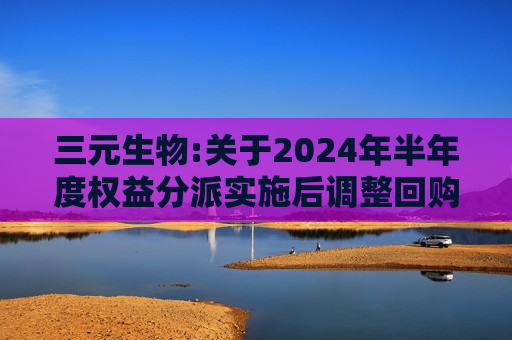 三元生物:关于2024年半年度权益分派实施后调整回购价格上限的公告