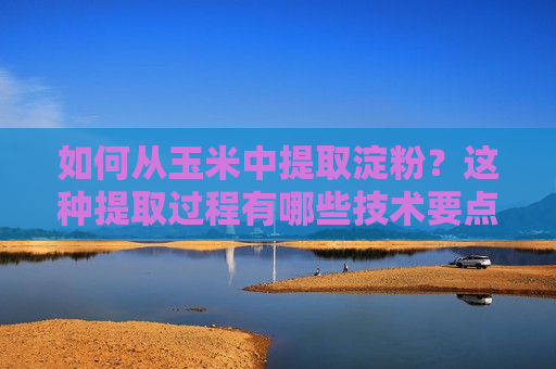 如何从玉米中提取淀粉？这种提取过程有哪些技术要点？