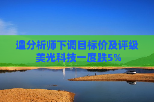 遭分析师下调目标价及评级 美光科技一度跌5%