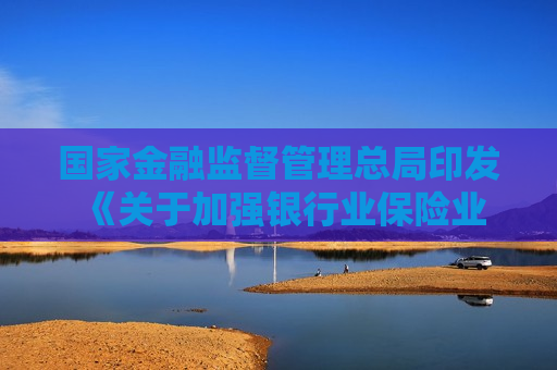 国家金融监督管理总局印发 《关于加强银行业保险业移动互联网应用程序管理的通知》  第1张