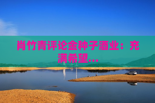 肖竹青评论金种子酒业：充满希望…