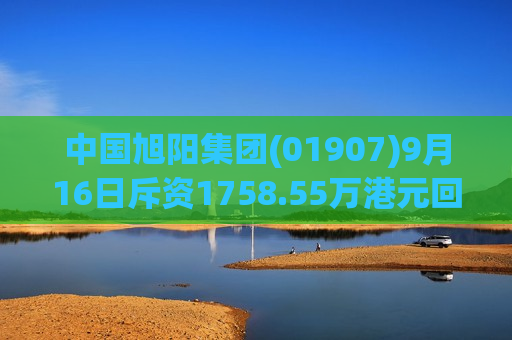 中国旭阳集团(01907)9月16日斥资1758.55万港元回购595.1万股