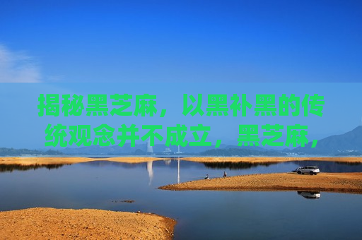 揭秘黑芝麻，以黑补黑的传统观念并不成立，黑芝麻，传统观念“以黑补黑”并不成立，黑芝麻真相揭秘，传统“以黑补黑”观念并不成立