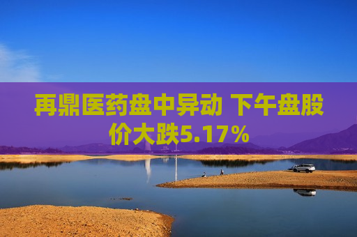再鼎医药盘中异动 下午盘股价大跌5.17%  第1张