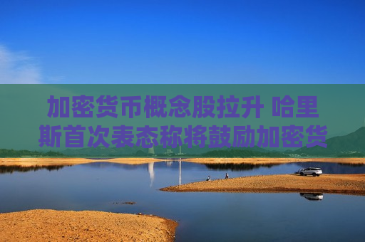 加密货币概念股拉升 哈里斯首次表态称将鼓励加密货币发展