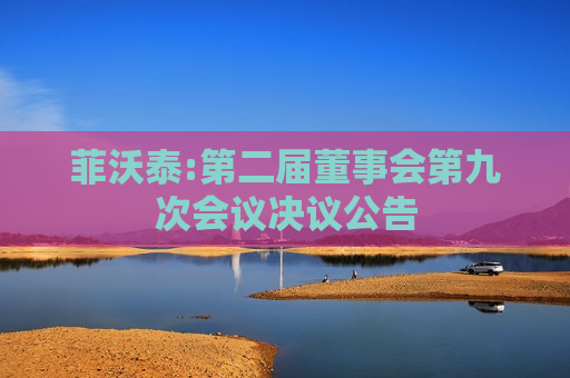 菲沃泰:第二届董事会第九次会议决议公告