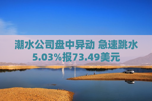 潮水公司盘中异动 急速跳水5.03%报73.49美元