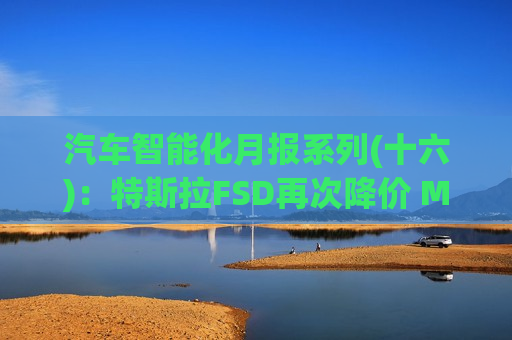 汽车智能化月报系列(十六)：特斯拉FSD再次降价 MONA M03上市22天下线超万辆