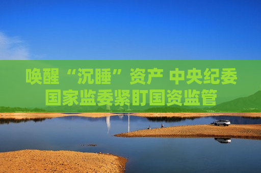 唤醒“沉睡”资产 中央纪委国家监委紧盯国资监管