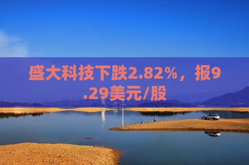 盛大科技下跌2.82%，报9.29美元/股  第1张