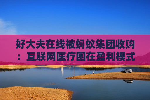 好大夫在线被蚂蚁集团收购：互联网医疗困在盈利模式中