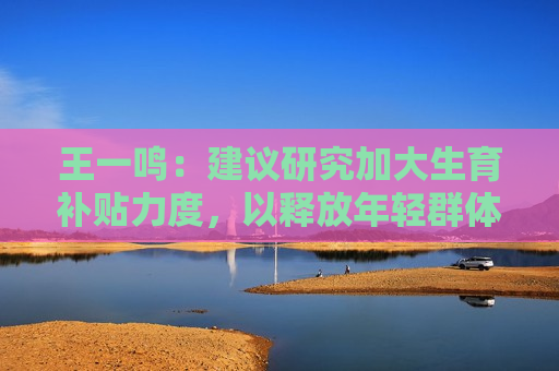 王一鸣：建议研究加大生育补贴力度，以释放年轻群体消费潜力
