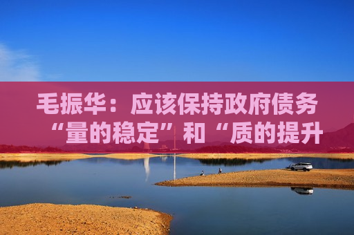 毛振华：应该保持 *** 债务“量的稳定”和“质的提升”