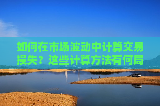 如何在市场波动中计算交易损失？这些计算 *** 有何局限性？