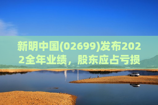 新明中国(02699)发布2022全年业绩，股东应占亏损约22.5亿元，同比扩大169.49%  第1张