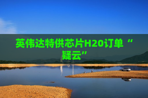 英伟达 *** 芯片H20订单“疑云”