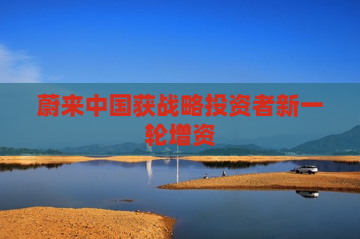 蔚来中国获战略投资者新一轮增资  第1张