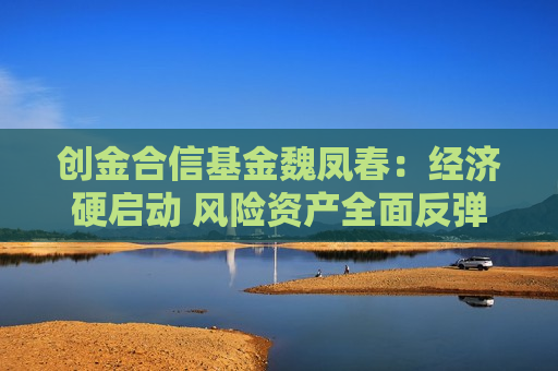 创金合信基金魏凤春：经济硬启动 风险资产全面反弹