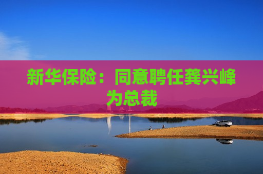 新华保险：同意聘任龚兴峰为总裁