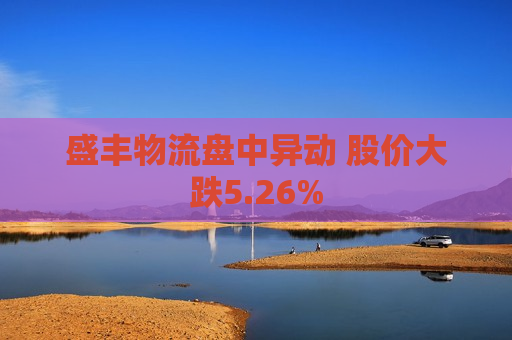 盛丰物流盘中异动 股价大跌5.26%