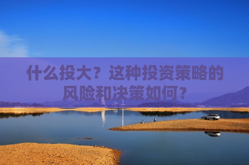什么投大？这种投资策略的风险和决策如何？