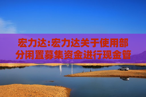 宏力达:宏力达关于使用部分闲置募集资金进行现金管理的公告