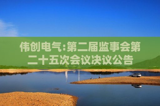 伟创电气:第二届监事会第二十五次会议决议公告