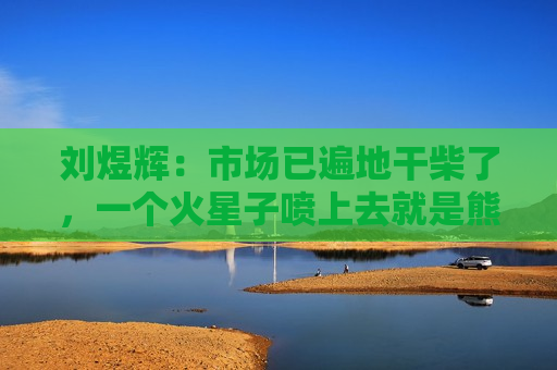 刘煜辉：市场已遍地干柴了，一个火星子喷上去就是熊熊大火