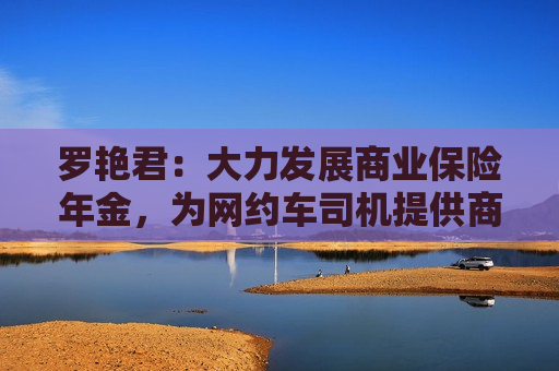 罗艳君：大力发展商业保险年金，为网约车司机提供商业养老保障受好评  第1张