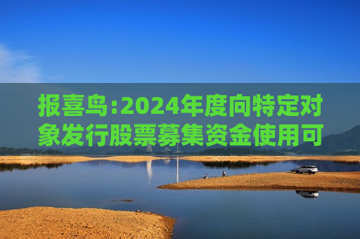 报喜鸟:2024年度向特定对象发行股票募集资金使用可行性分析报告