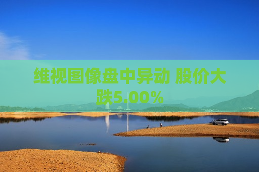 维视图像盘中异动 股价大跌5.00%